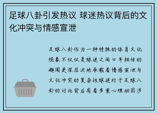 足球八卦引发热议 球迷热议背后的文化冲突与情感宣泄